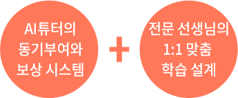 AI 튜터의 동기부여와 보상 시스템 + 전문 선생님의 1:1 맞춤 학습 설계