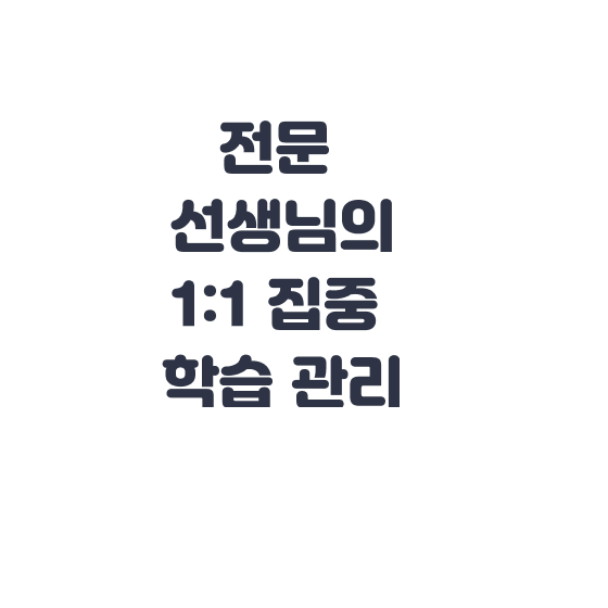 전문 선생님의 1:1 집중 학습 관리
